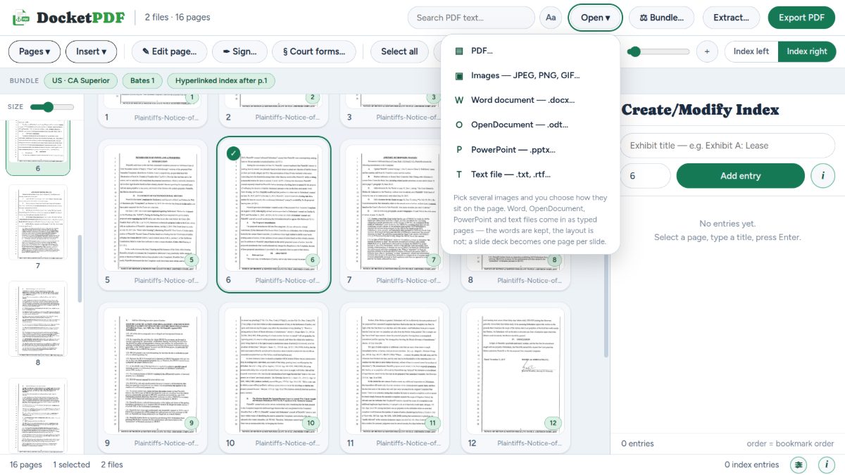 DocketPDF™ — Ten formats in, one set out.